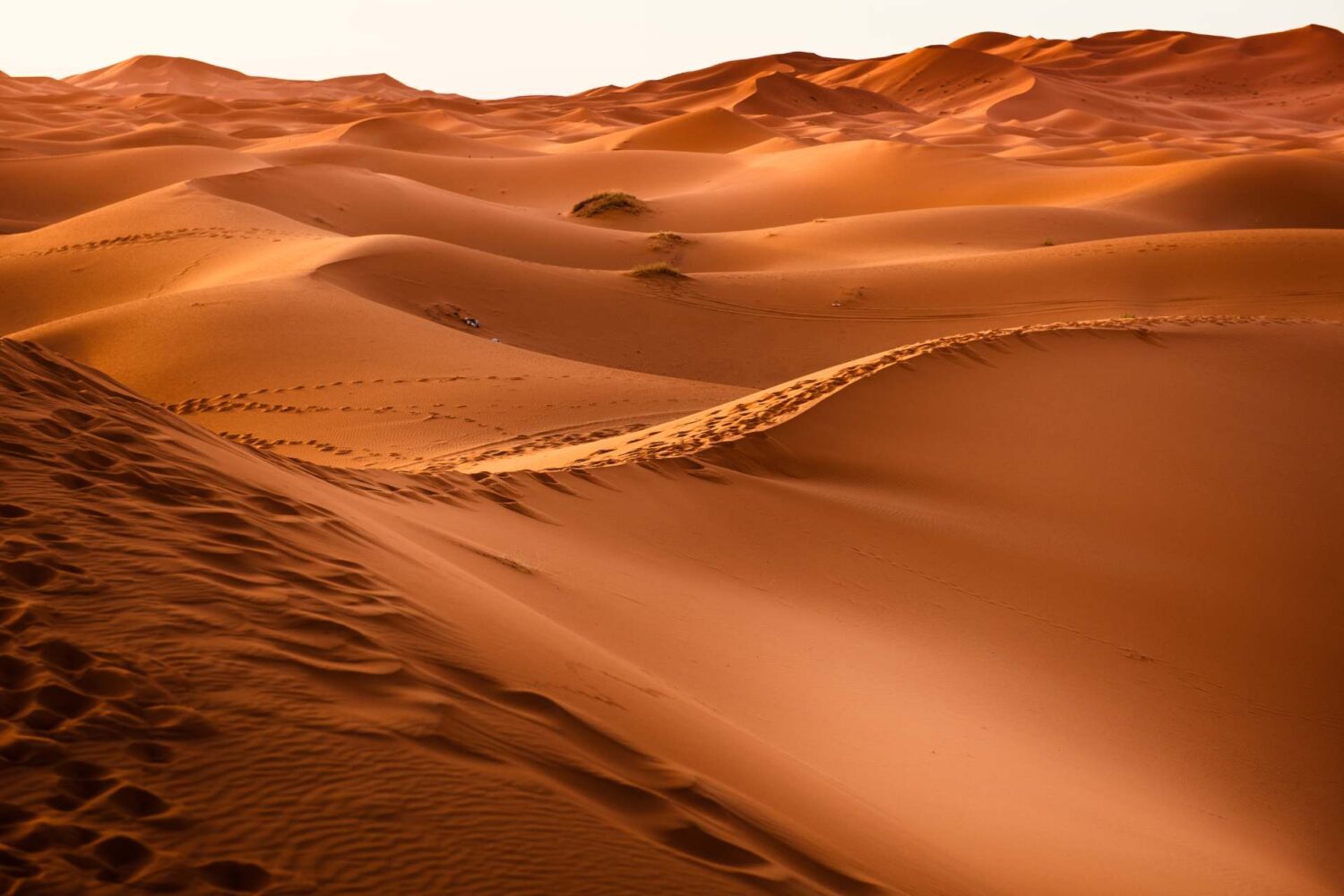 3 Días Por el Desierto De Marrakech