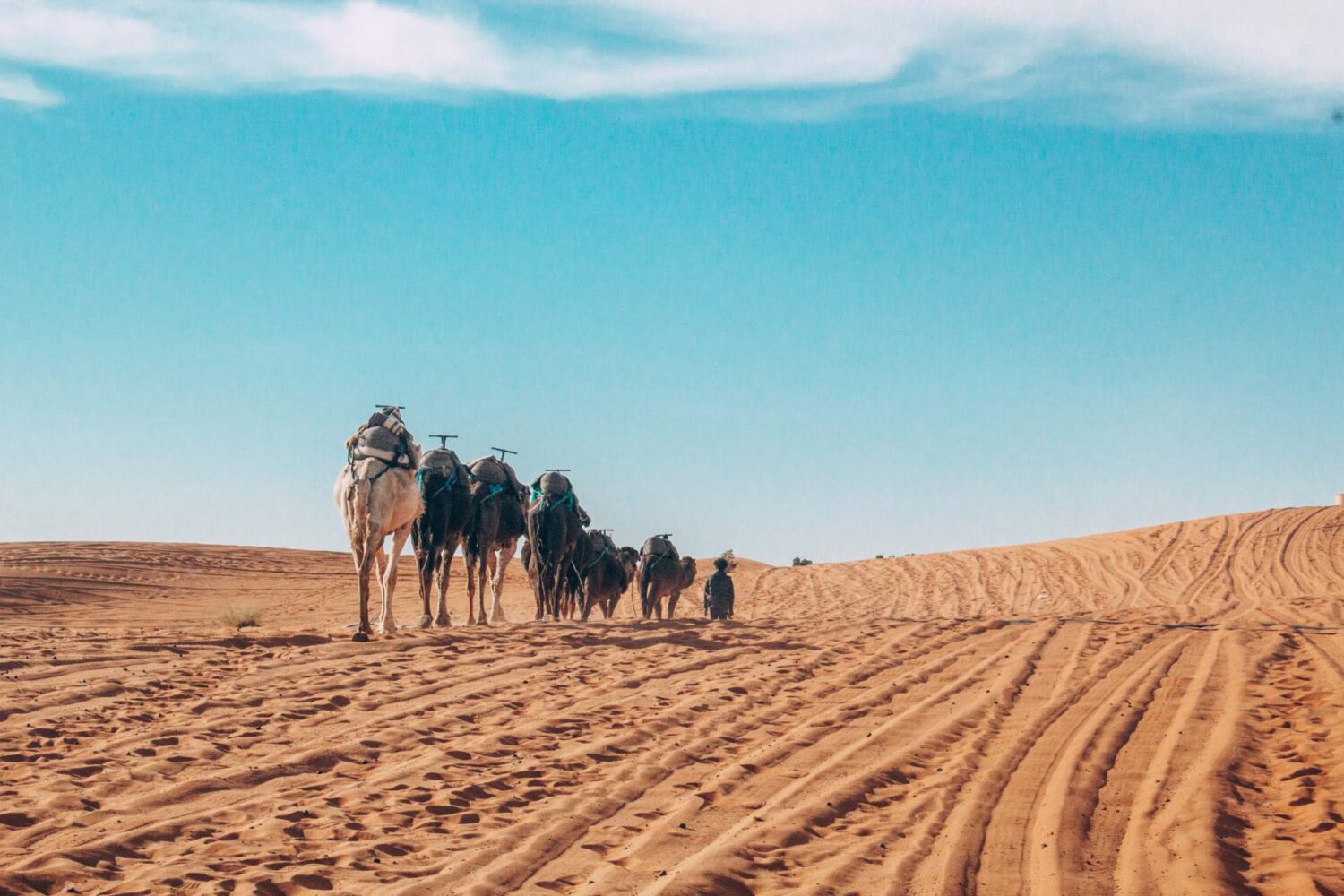 3 Días por el Desierto de Marrakech