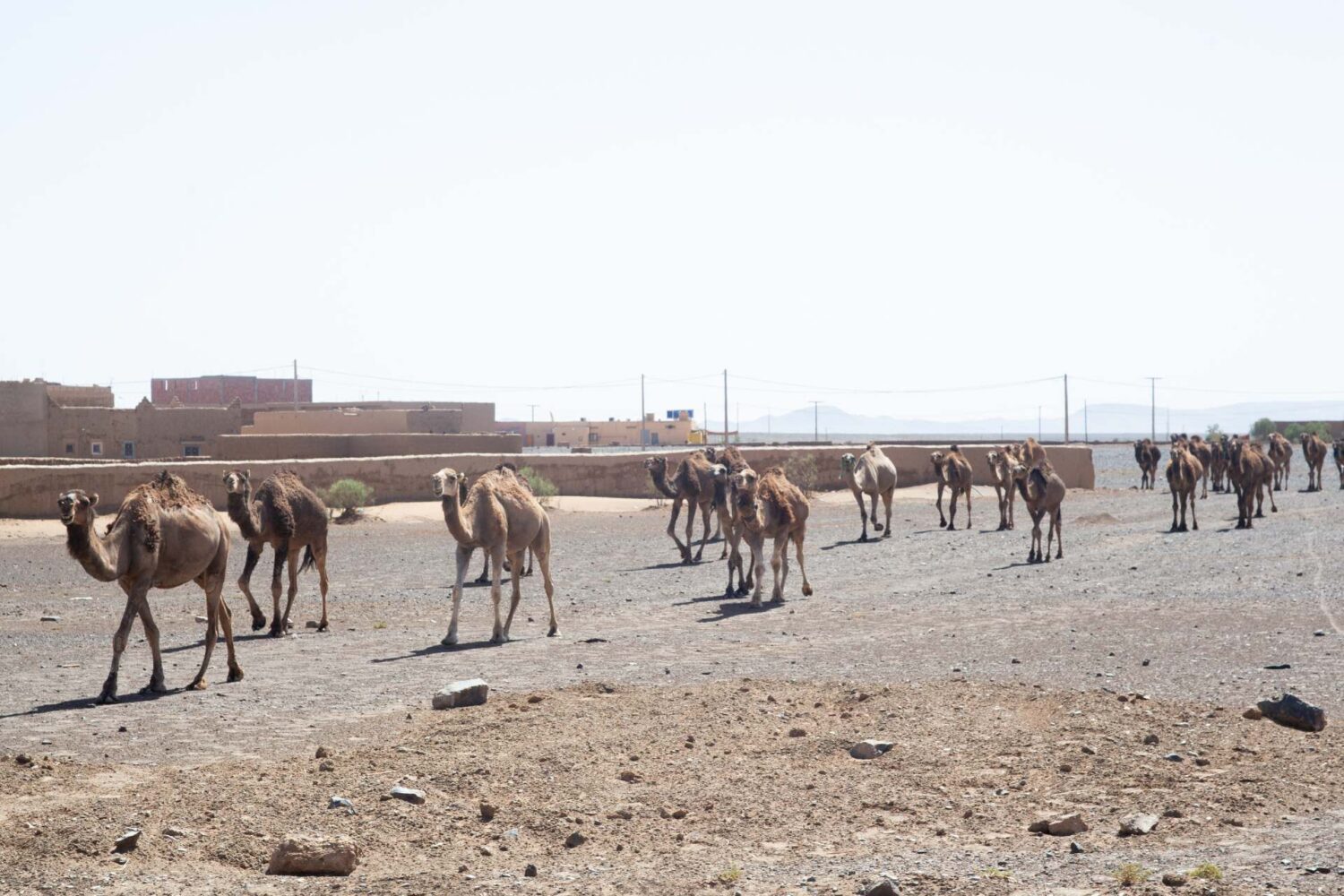 7 Días Agadir A Merzouga