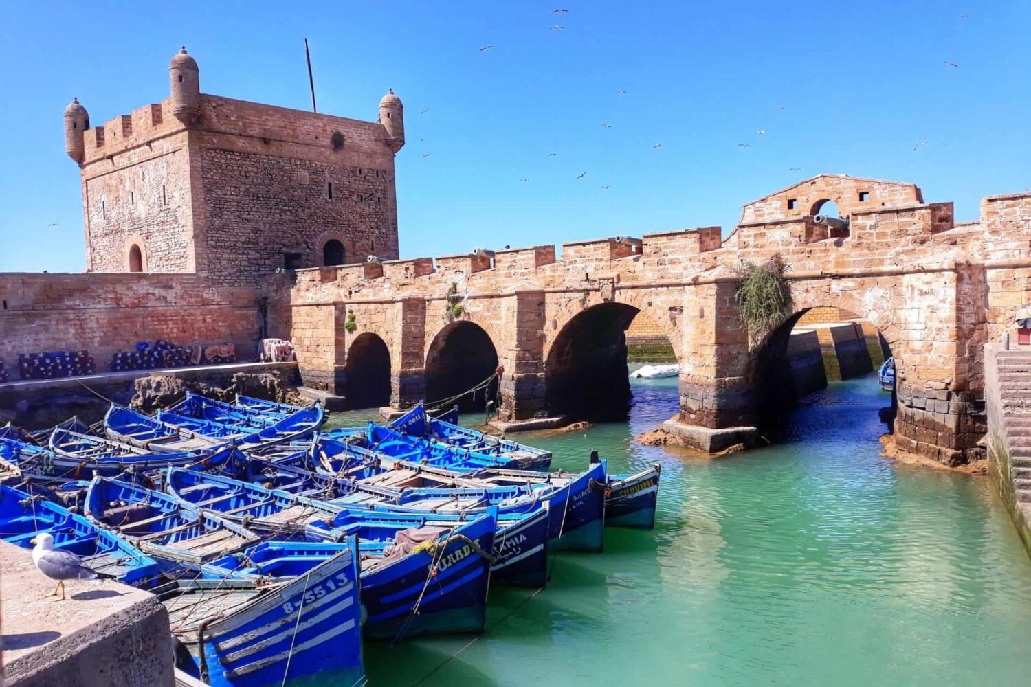 Essaouira Day Trip