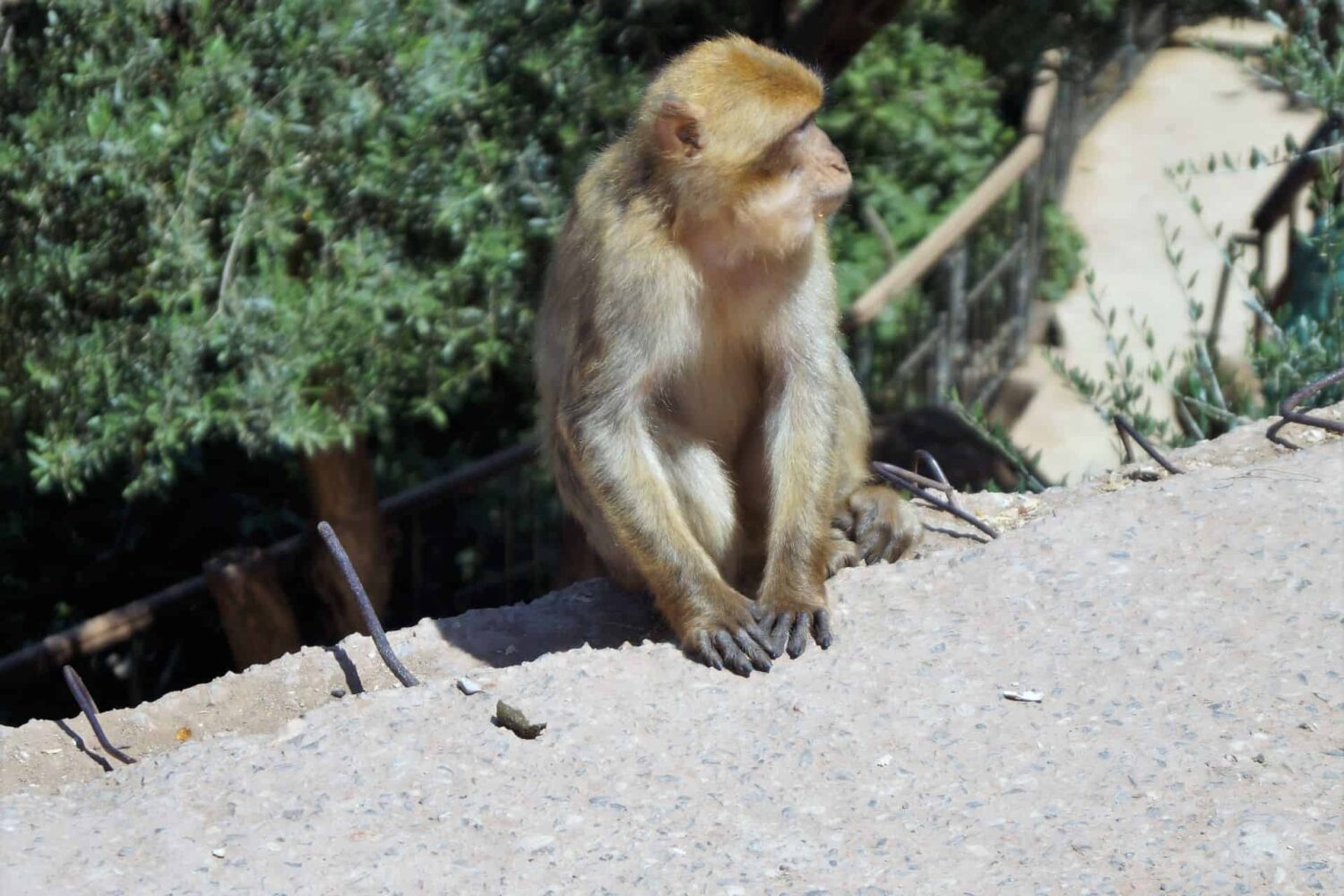 Excursión privada a Ourika