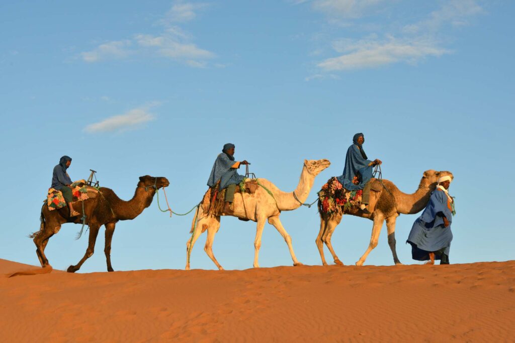 Desert Activities in Morocco